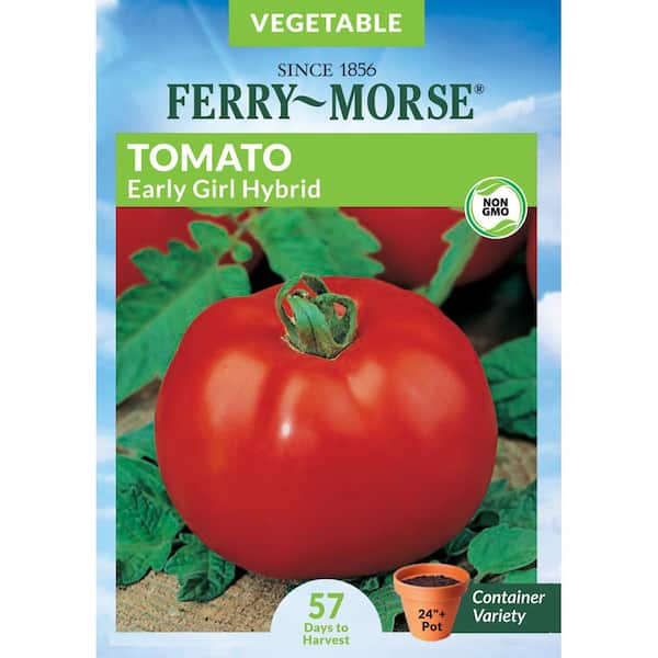 Ferry-Morse Tomato Early Girl Hybrid Pelleted Fruit Seed