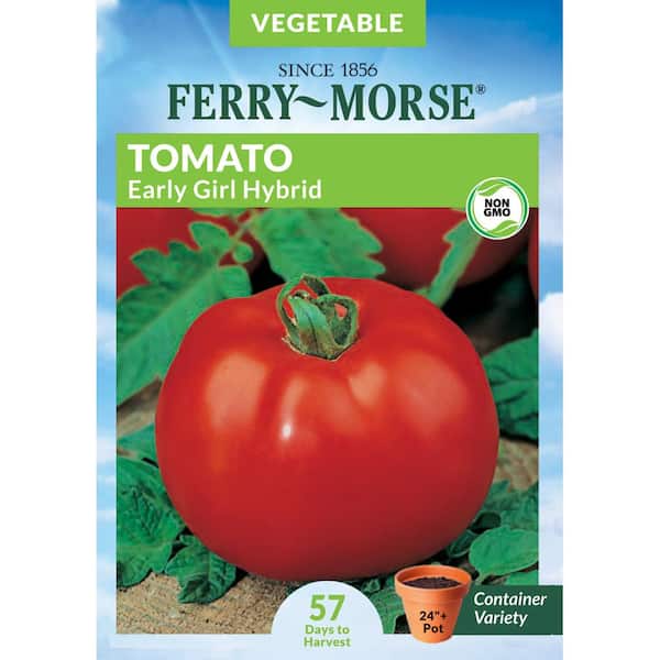 Ferry Morse Tomato Early Girl Hybrid Fruit Seed X8102 The Home Depot