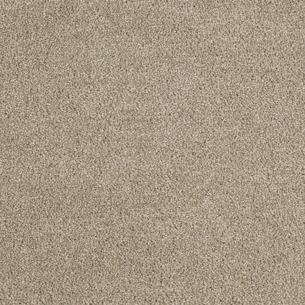 8 in. x  8 in. Texture Carpet Sample - Moonlight -Color Ray price history on PriceWatchPro
