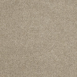 Moonlight  - Ray - Beige 32 oz. SD Polyester Texture Installed Carpet