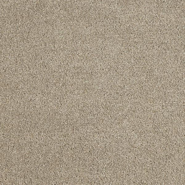 Moonlight  - Ray - Beige 32 oz. SD Polyester Texture Installed Carpet