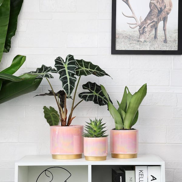OGETFUUR 3-Pack Indoor Ceramic Planter with Drainage Hole