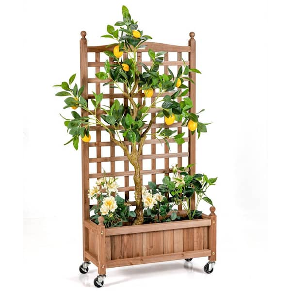50 in. Brown Wood Planter Box with Trellis and Wheels Mobile Plant Raised Bed for Indoor and Outdoor (2-Pack)