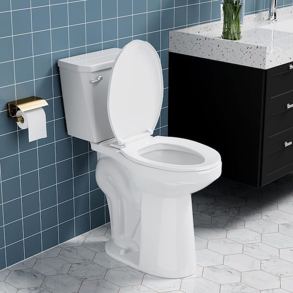 21 in. 2-Piece 1.28 GPF Single Flush Elongated Toilet in White, Tall Toilets for Seniors, Soft Close Seat Included