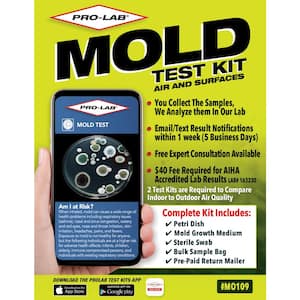 Mold Test Kit