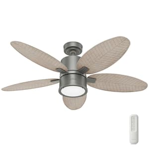 Amaryllis 52 in. Indoor/Outdoor Matte Silver Ceiling Fan with Light and Remote Control