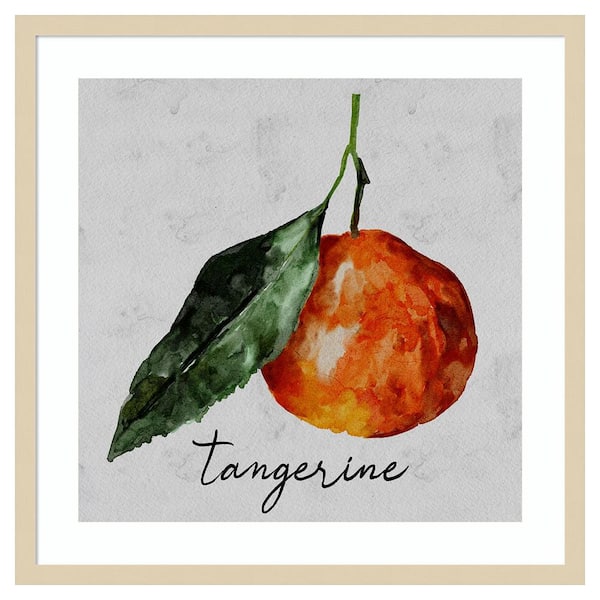 Amanti Art Summertime Citrus III by Regina Moore 25 in. W x 25 in. H. Wood Framed Wall Art Print Framed in Brown