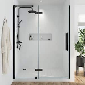 Tampa 57 11/16 in. W x 72 in. H Pivot Frameless Shower Door in Black