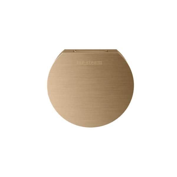 ROUND STEAMHEAD IN BRUSHED BRONZE