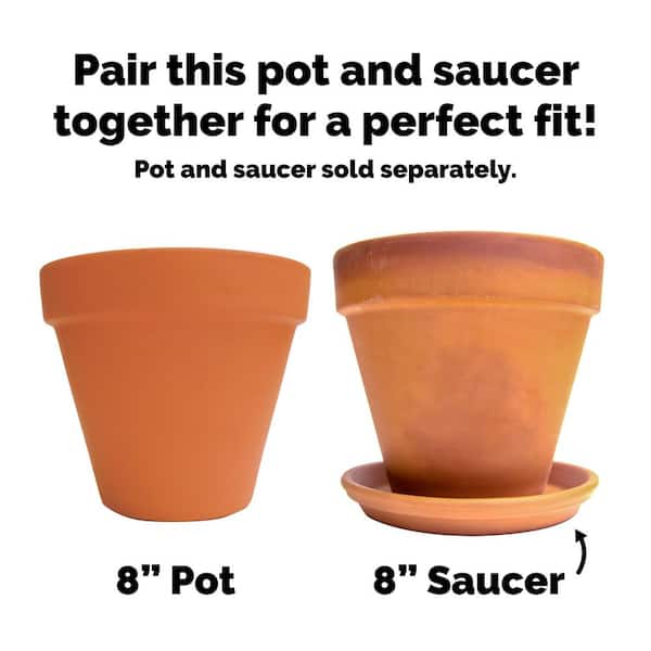 Pennington - 8 in. Medium Terra Cotta Clay Pot