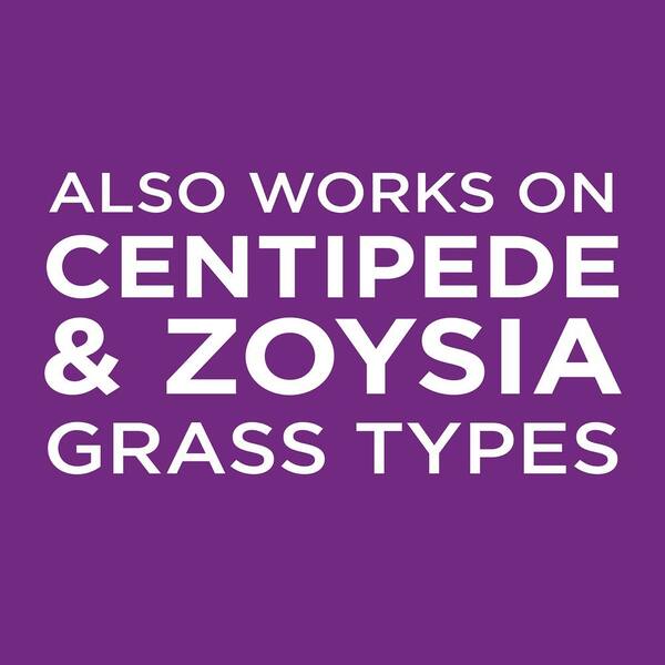 EZ Patch St Augustine Grass Seed Fertilizer Absorbs Blends Super Repairs 3.75 lb 
