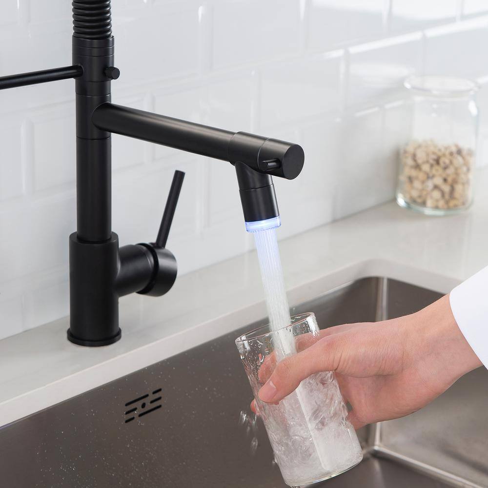 Matte Black Pull Down Kitchen Faucet with Pull-out Spray