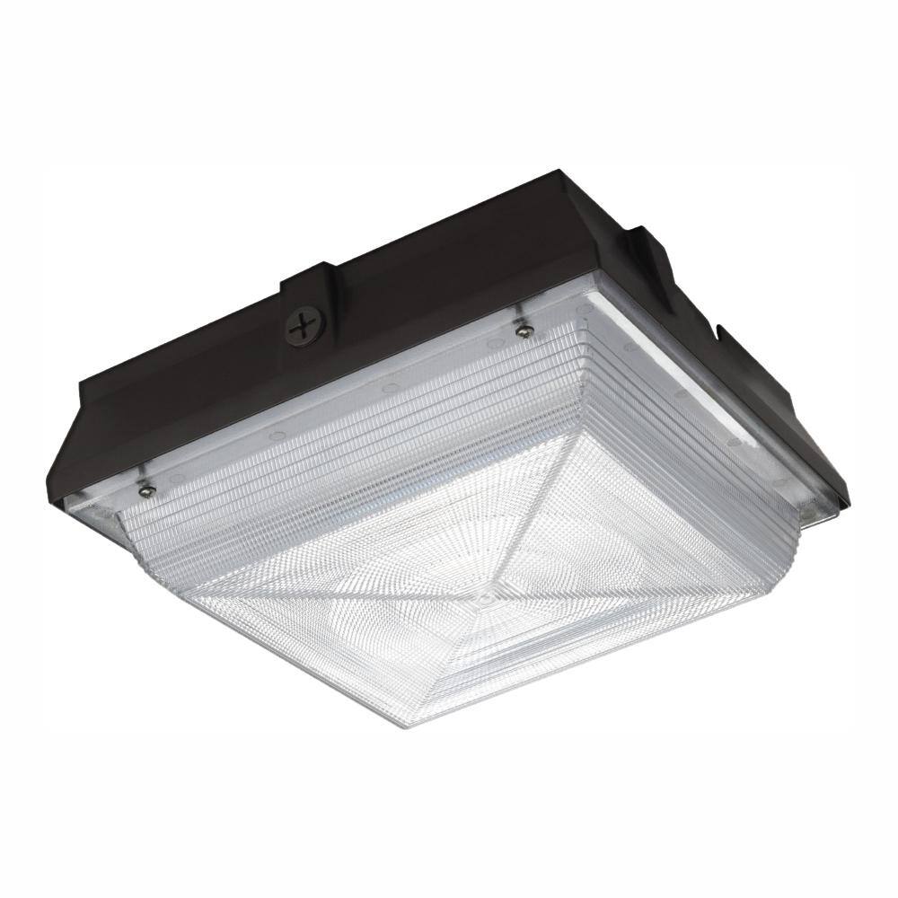 ceiling mounted security light