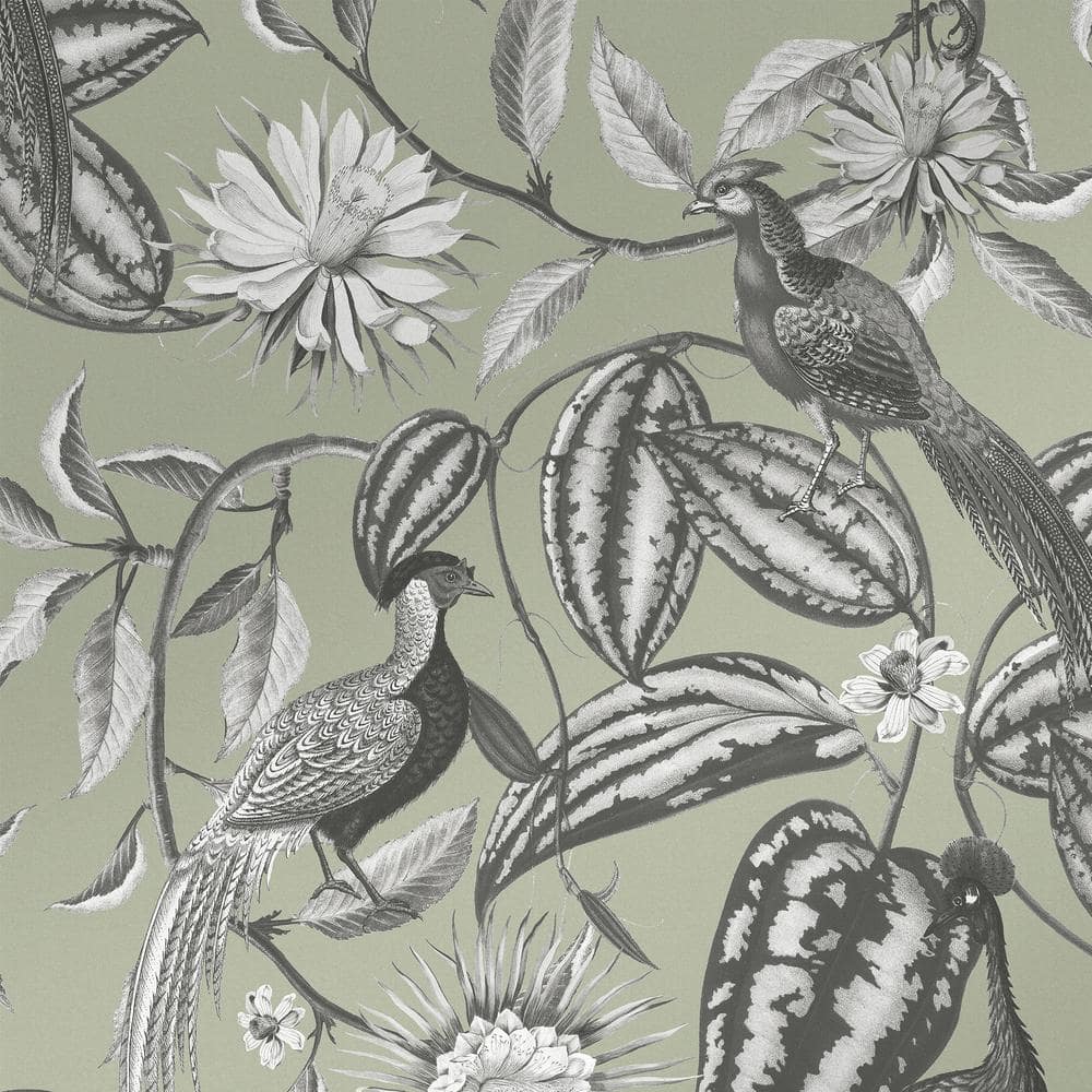 Amherst Garden Sage Green Wallpaper price history on PriceWatchPro