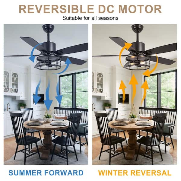 Bella Depot Koyah 46 in. Indoor Black Caged Ceiling Fan with Light