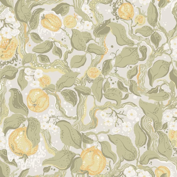 A-Street Prints Kort Sage Fruit and Floral Non-Pasted Non-Woven Paper Wallpaper