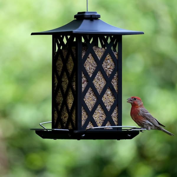 Vogelfutterhaus Aus Zedernholz - Rustikales Design, Verzinktes Dach, Perfekt Für Garten-Vogelbeobachtung