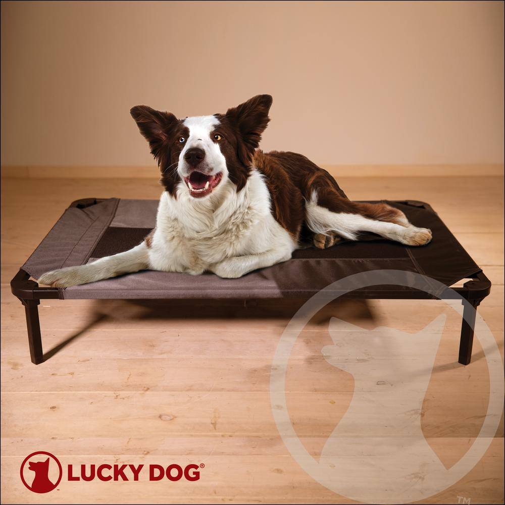 Medium Gray Waterproof Elevated Outdoor Pet Bed