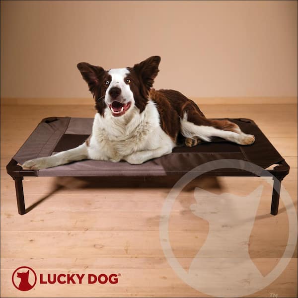 Lucky Dog Medium/Large 36 in. Gray Elevated Pet Bed Comfort Cot
