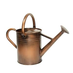Retro Coppery 1 gal. Outdoor Steel Watering Can Sliver Galvanized Steel Watering Can with Luminous Panit