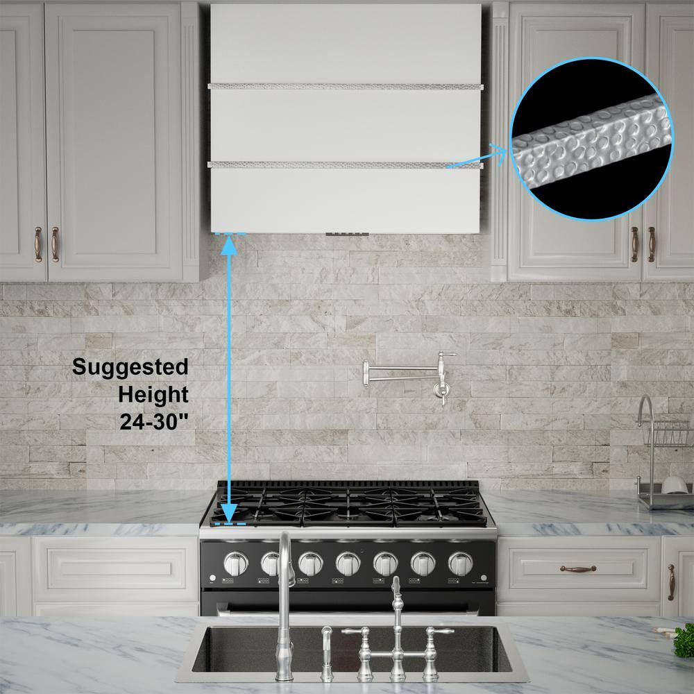 36'' Stainless Steel Wall Mount Range Hood with Charcoal Filter