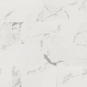 Carrara 12 in. x 24 in. Polished Porcelain Floor and Wall Tile (2 sq. ft./Each)