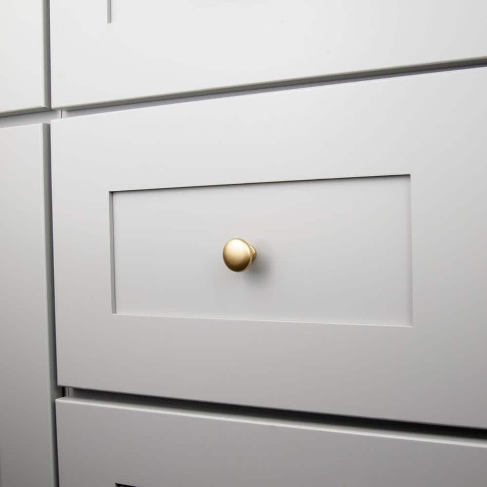 Brushed Brass Round Cabinet Knobs with Mounting Hardware