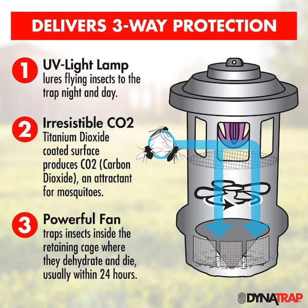 Dynatrap 4-Way Protection Indoor Fly and Insect Trap with StickyTech Glue  Card DT152 - The Home Depot