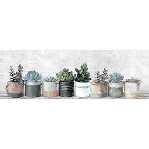 "Row of Succulents" by Parvez Taj Unframed Canvas Nature Art Print 10 in. x 30 in.