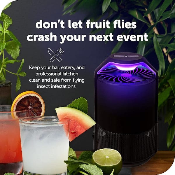 Misopily Black Indoor Insect Trap, Midnight Auto Mode Fan Powered