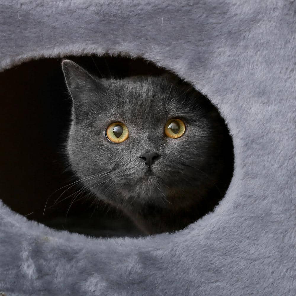 Gray Plush 2-Story Cat Condo with Sisal Scratching Surface