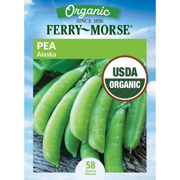 Organic Pea Alaska Wilt Resistant Fruit Seeds