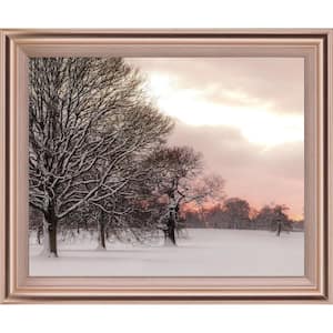 "Rosy Sunset" By Frank Assaf Framed Print Nature Wall Art 28 in. x 34 in.