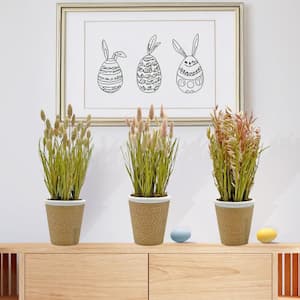 Easter Spring 3-1.25 ft. x 5.5 in. Non Artificial Preserved Decorative Rustic Oat, Pampas Grass Tree Ceramic Pot