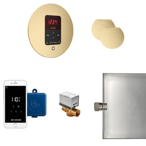 Mr. Steam Butler Max Package Round in Satin Brass