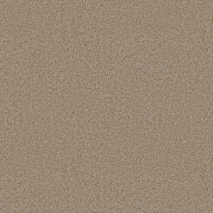 Rosemary II - Parchment -Brown 56 oz. High Performance Polyester Texture Installed Carpet