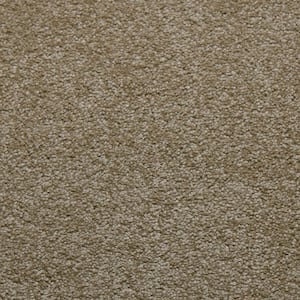 Sweet Dreams II - Ecru - Beige 68 oz. SD Polyester Texture Installed Carpet