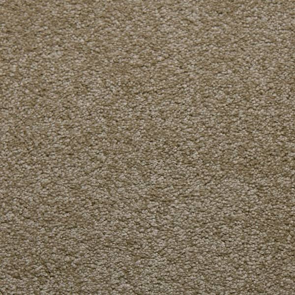 Home Decorators Collection Sweet Dreams II - Ecru - Beige 68 oz. SD Polyester Texture Installed Carpet