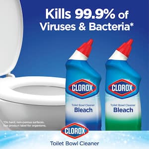 24 oz. Rain Clean Toilet Bowl Cleaner with Bleach (2-Pack)