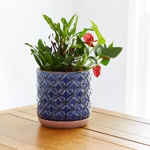 Southern Patio Griffy 8.07 in. x 8.27 in. Blue Ceramic Indoor Pot