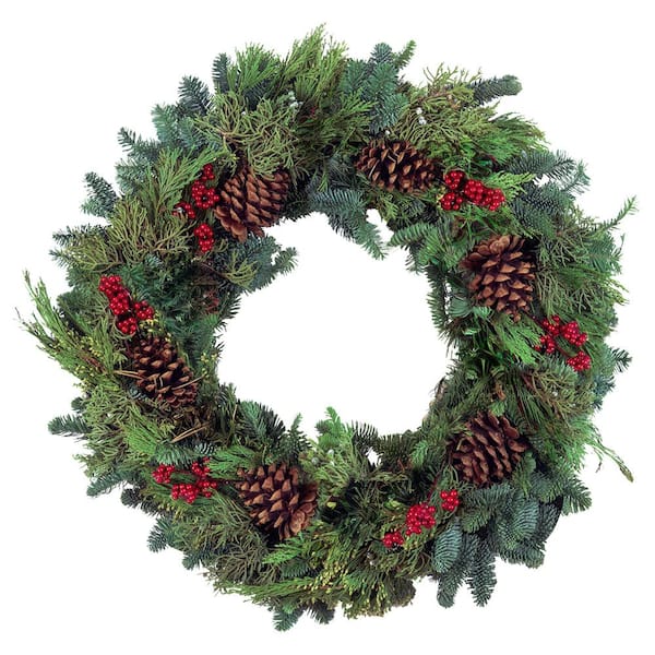 national PLANT NETWORK 22 in. Canella Multicone Wreath