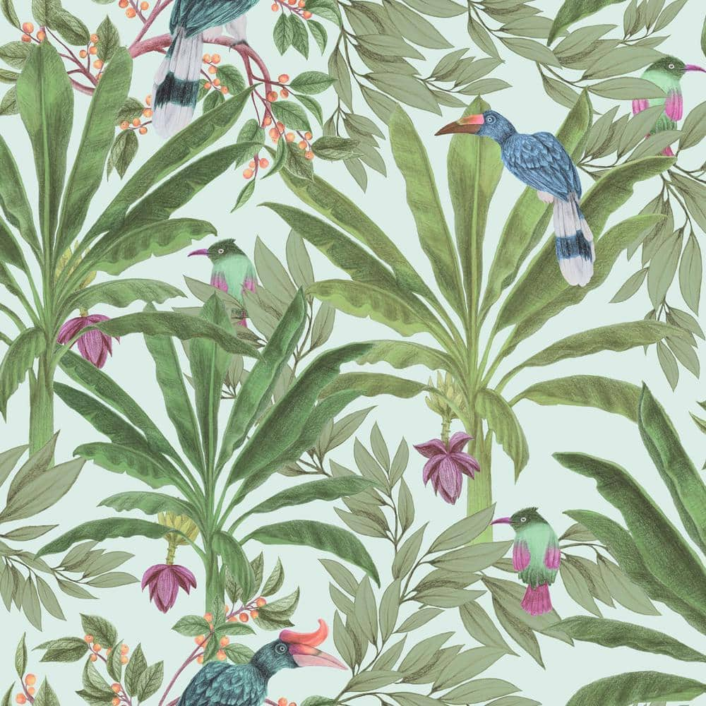 Carola Green Jungle Tropics Wallpaper DD139189 - The Home Depot