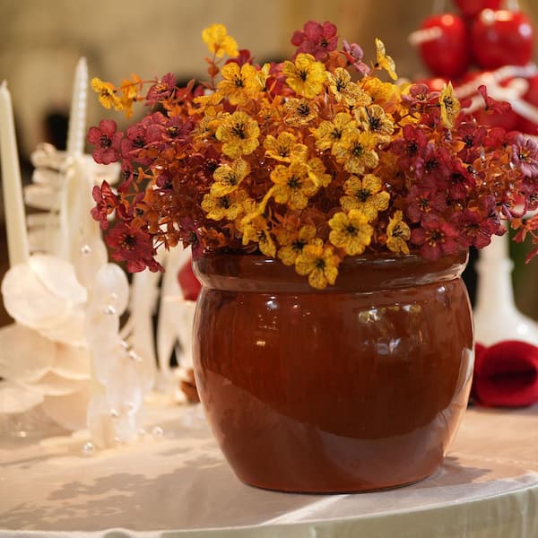 fertilizer for house plants Houseplant Fertilizer  The Groovy Plants Ranch LLC