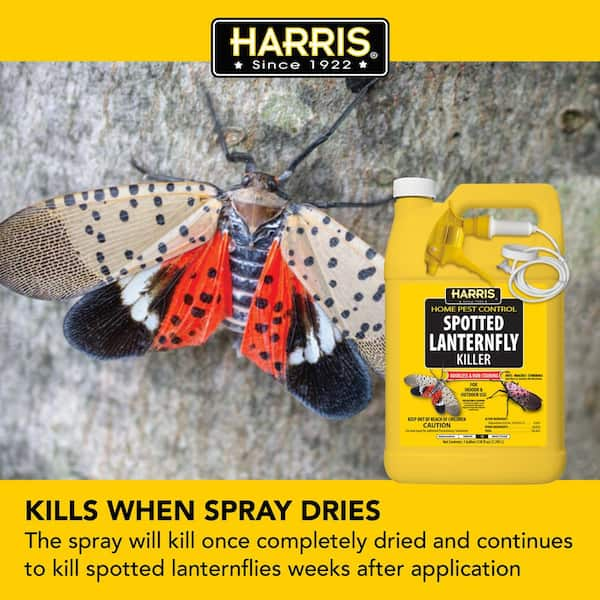 Harris Fruit Fly Drain Treatment Gel (128 fl.oz)