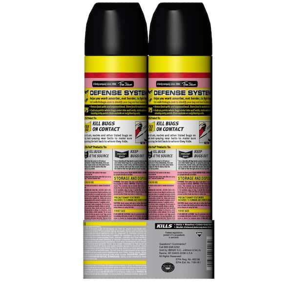 Raid 20 oz. Flying Insect Killer 7 Insecticide Aerosol Spray, Outdoor Fresh  SCJ337151 - The Home Depot