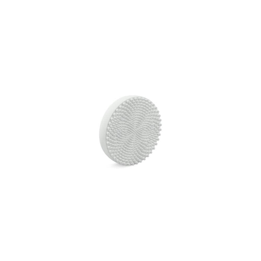 Spaviva Body Brush Replacement in White price history on PriceWatchPro