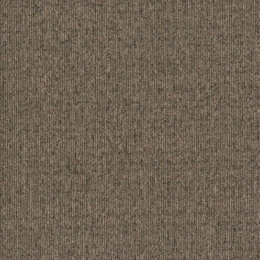 8 in. x 8 in. Loop Carpet Sample - Chapters of Joy Tile - Color Sawyer price history on PriceWatchPro