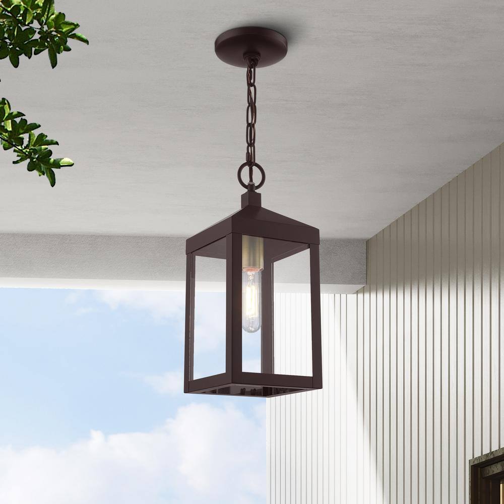 Nyack Bronze and Antique Brass 1-Light Outdoor Pendant with Clear Glass