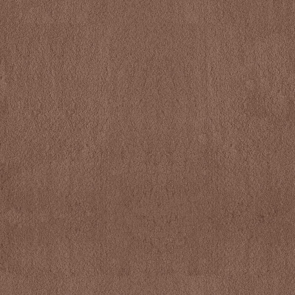 Lifeproof Dreamy Daze II Lena Brown 66 oz. Nylon Texture Installed Carpet
