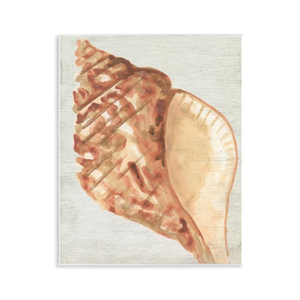Stupell Industries Tan Conch Shell by June Erica Vess Unframed Coastal Graphic Art Print 14 in. x 11 in.